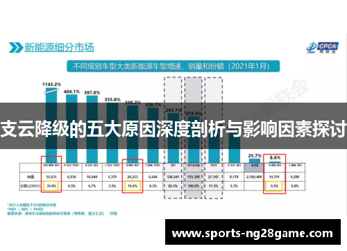支云降级的五大原因深度剖析与影响因素探讨
